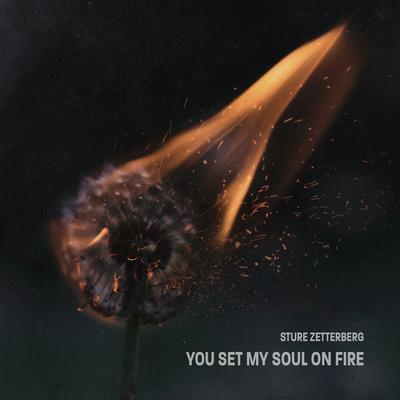 You Set My Soul on Fire's cover