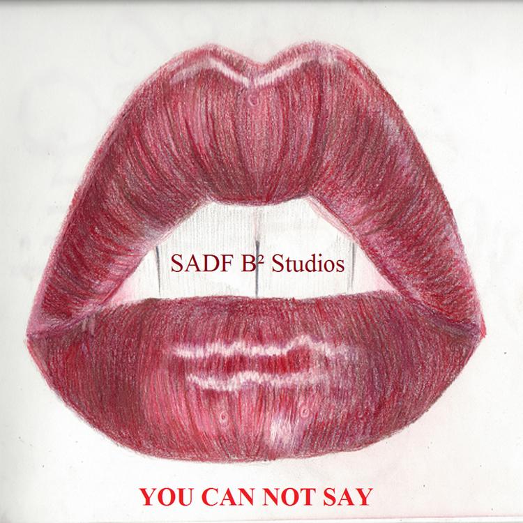 SADF B² Studios's avatar image