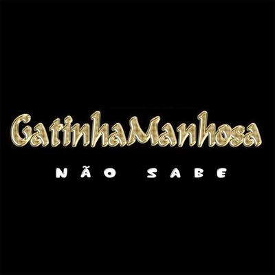 Não Sabe By Edson Lima, Gatinha Manhosa's cover