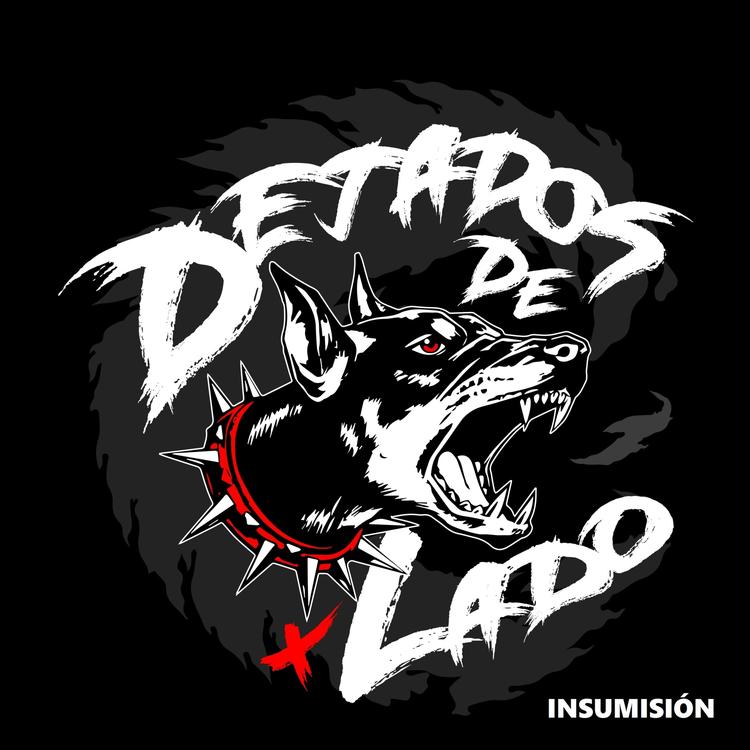 Dejados de Lado's avatar image