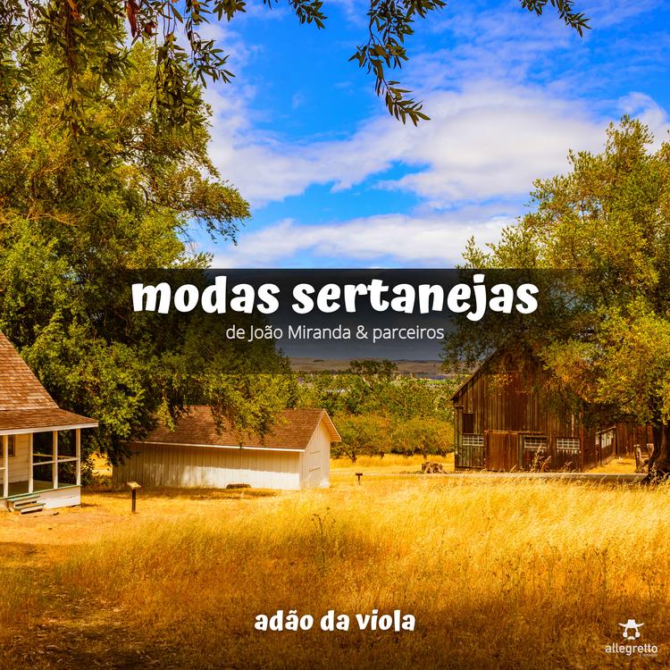 Adão da Viola's avatar image