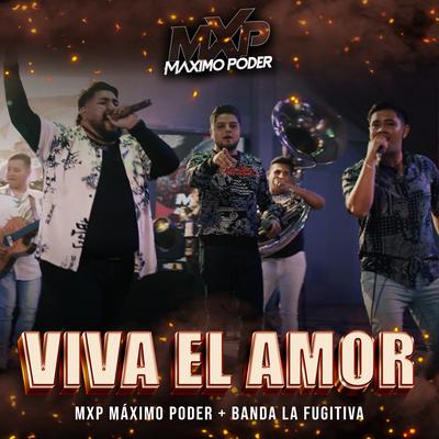 Viva El Amor's cover