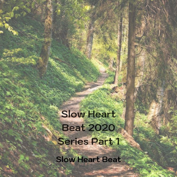 Slow Heart Beat's avatar image