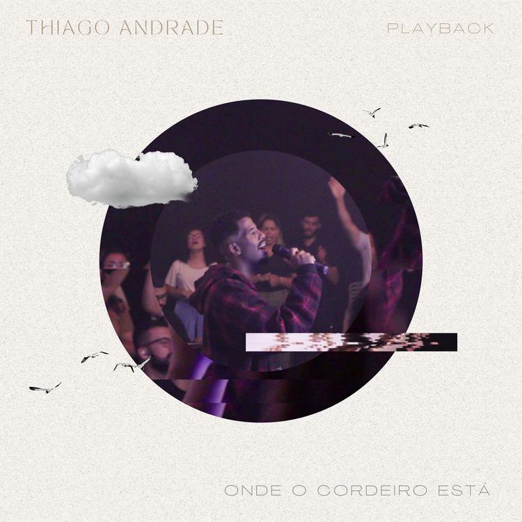 Thiago Andrade's avatar image