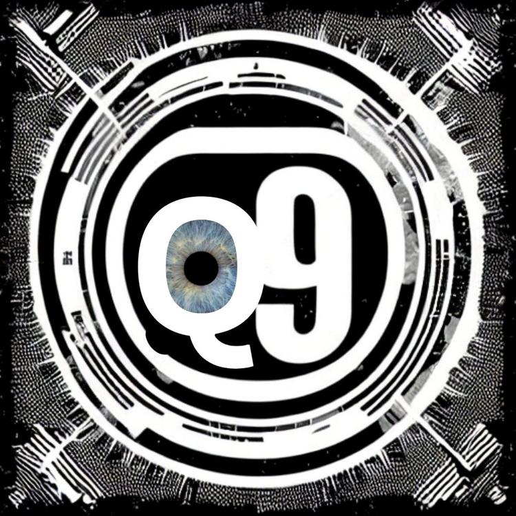 Q9's avatar image