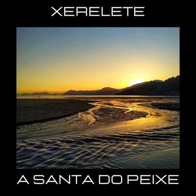 Xerelete's cover