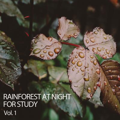 Rainforest at Night for Study Vol. 1's cover