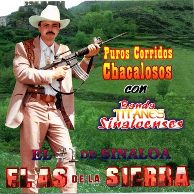 Puros Corridos Chacalosos con Banda Titanes Sinaloenses's cover