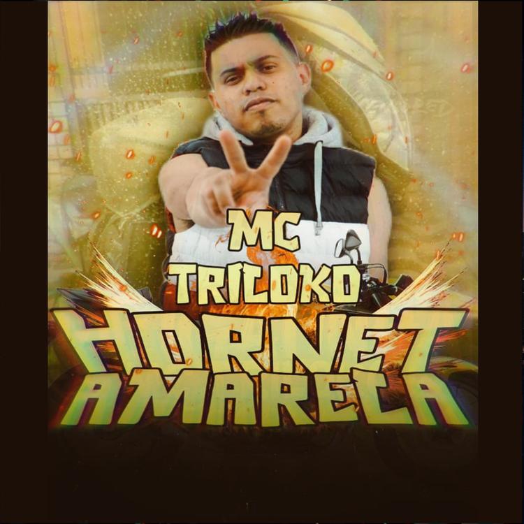 Mc triloko's avatar image