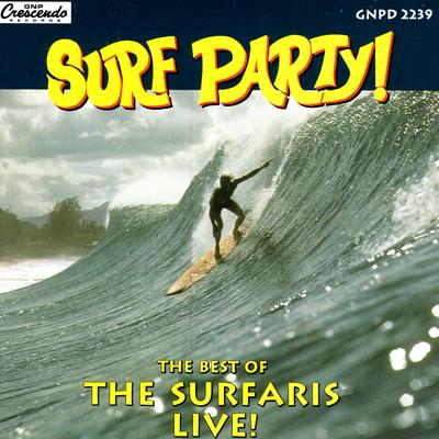 Wipe Out By The Surfaris's cover