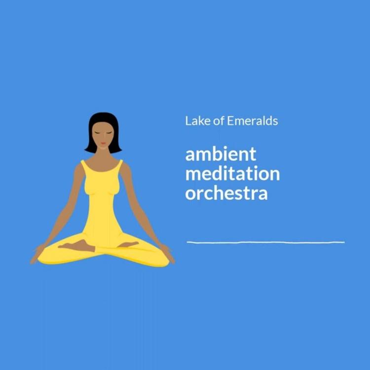 Ambient Meditation Orchestra's avatar image