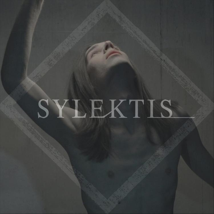 Sylektis's avatar image