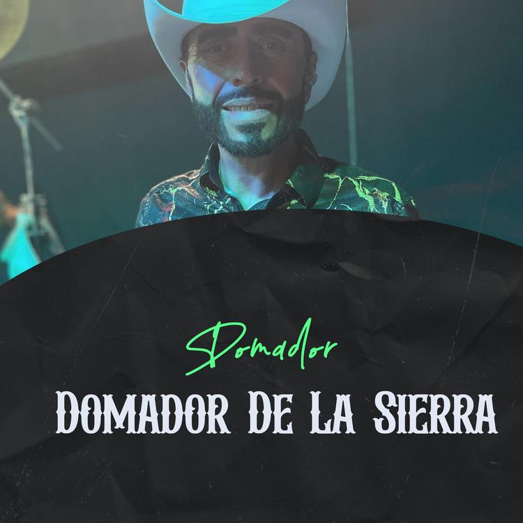 Domador De La Sierra's avatar image