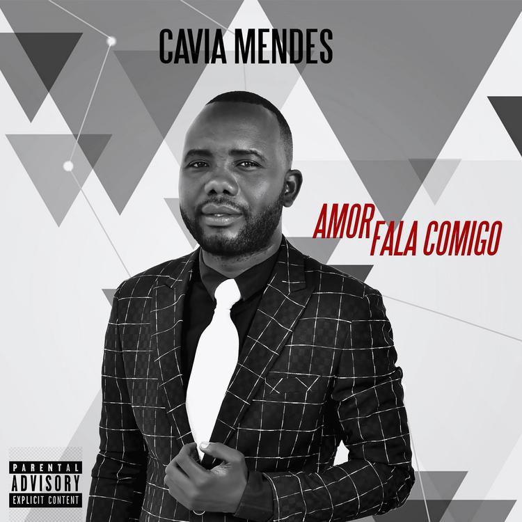 Cavia Mendes's avatar image