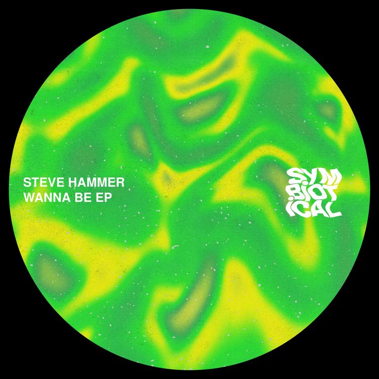 Steve Hammer's avatar image