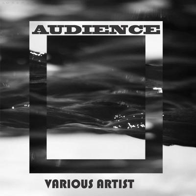 AUDIENCE's cover