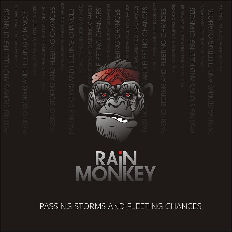 Rain Monkey's avatar image