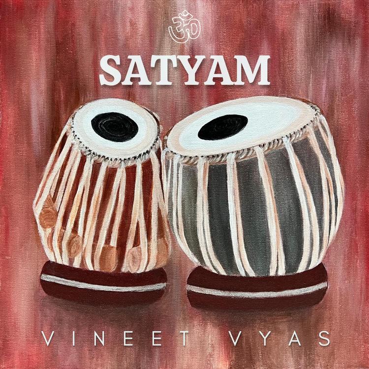 Vineet Vyas's avatar image