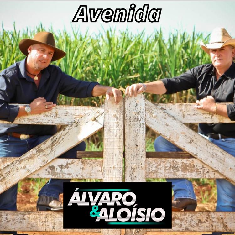 Álvaro & Aloísio's avatar image