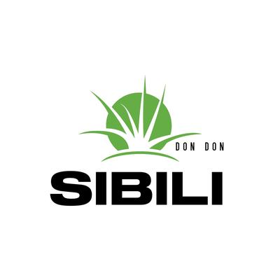 Sibili Dondon's cover