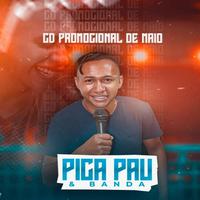 Pica Pau e Banda's avatar cover