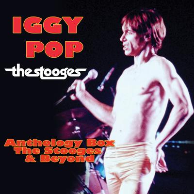 Anthology Box - The Stooges & Beyond's cover