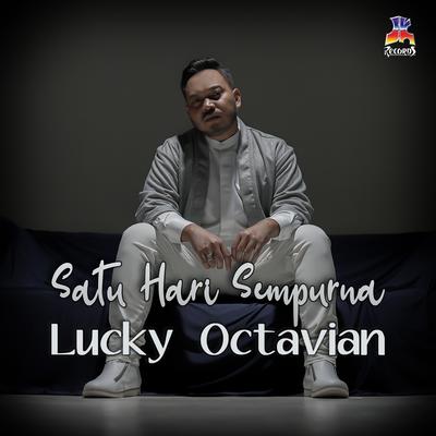 Satu Hari Sempurna's cover