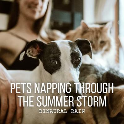 Binaural Rain: Pets Napping Through the Summer Storm's cover