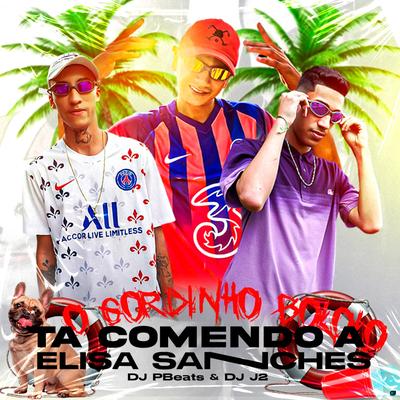 O Gordinho Bololo, Ta Comendo a Elisa Sanches By MC Renatinho Falcão, DJ PBeats, DJ J2's cover