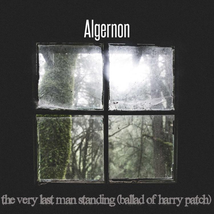 Algernon's avatar image