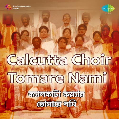 Calcutta Official Tiktok Music