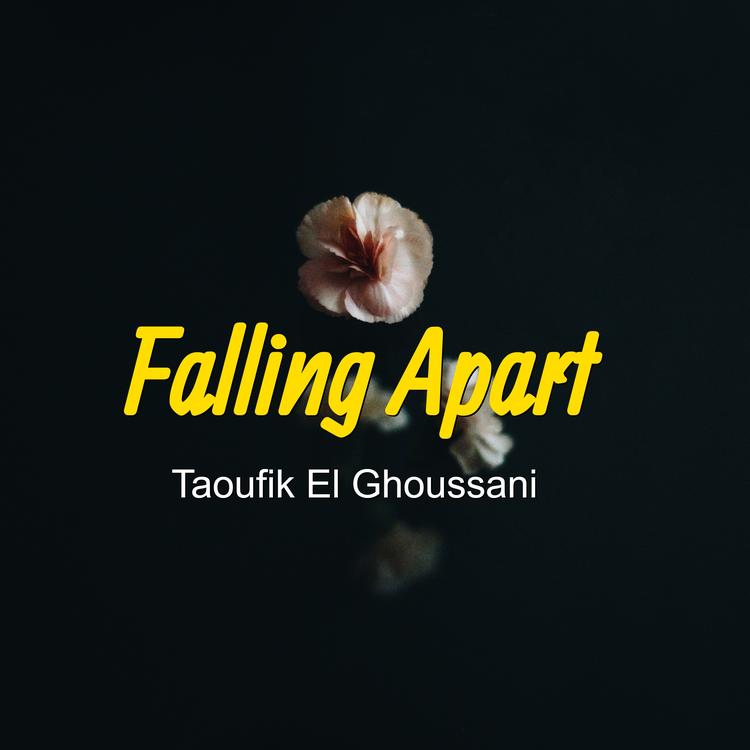 Taoufik el Ghoussani's avatar image