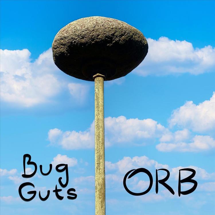 Bug Guts's avatar image