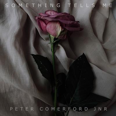 Something Tells Me By Peter Comerford Jnr's cover