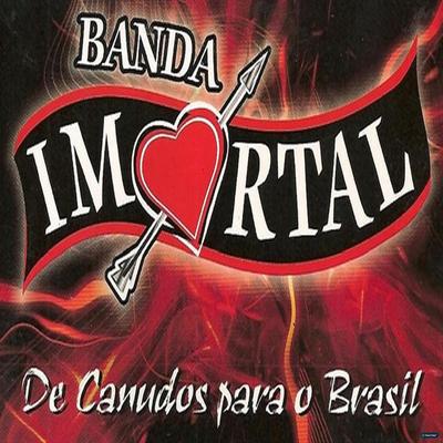 Já Não Sou Feliz Mais By Banda Imortal's cover
