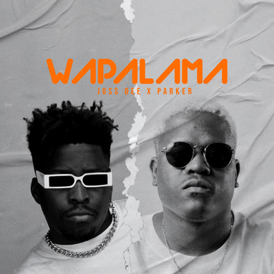 Wapalama By Joss Dee, Dj Parker's cover