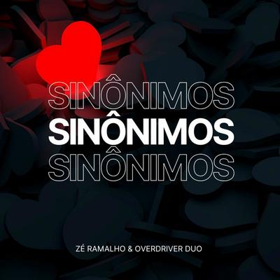 Sinônimos's cover