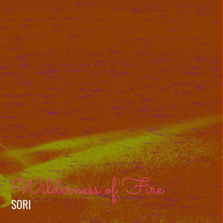 SORI's avatar image