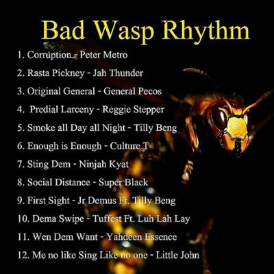 Bad Wasp's cover
