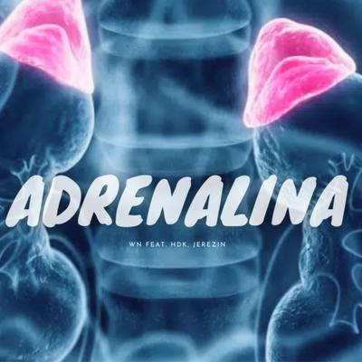 Adrenalina By Amazing Sounds, HDK, Jerezin, WN's cover