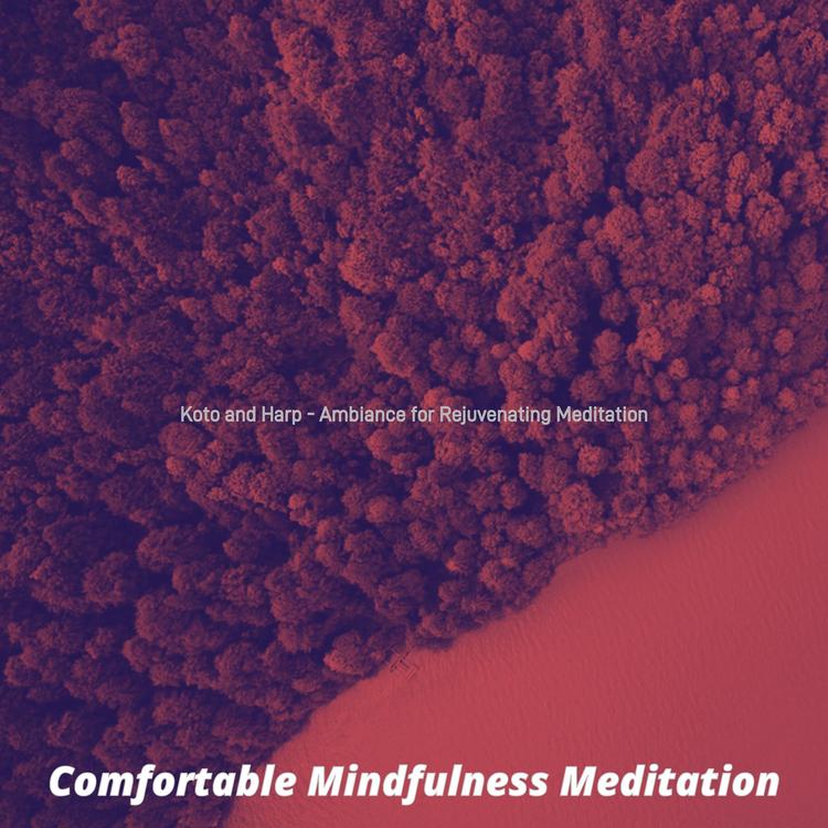 Comfortable Mindfulness Meditation's avatar image