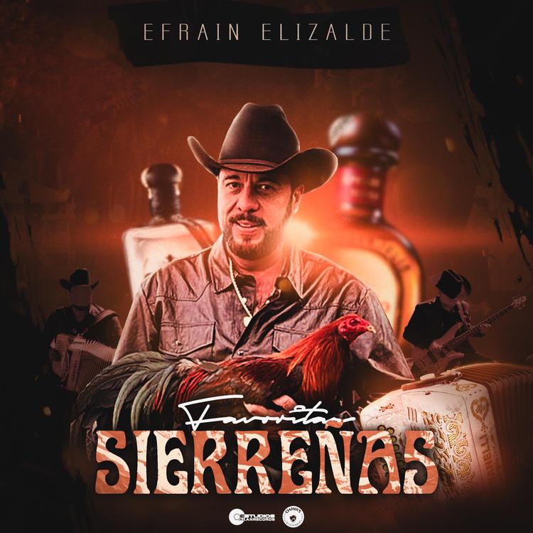 Efrain Elizalde's avatar image