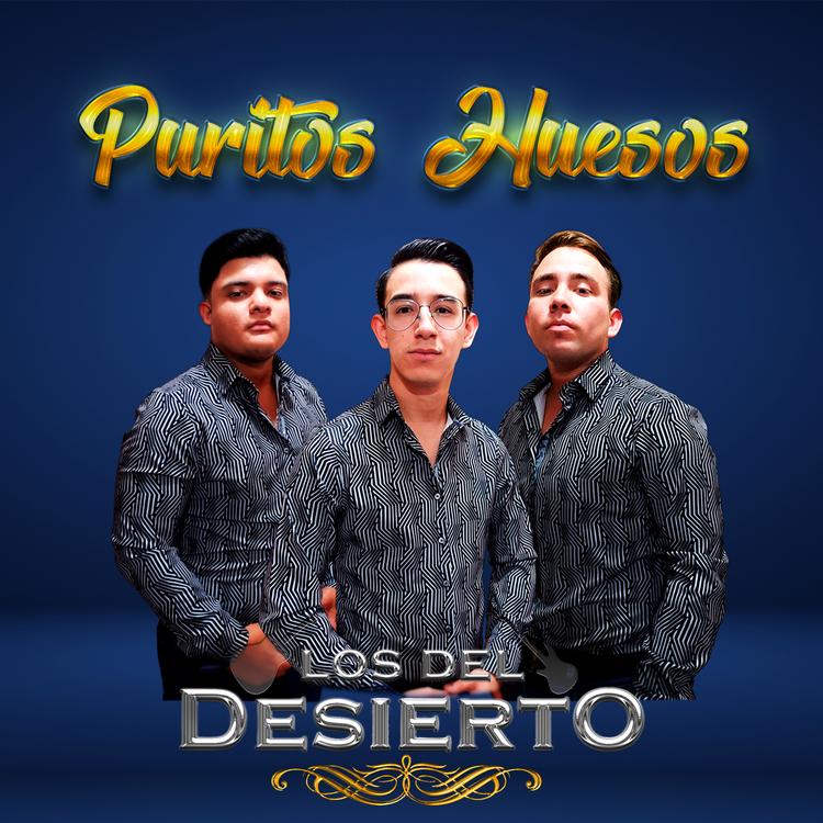 Los Del Desierto's avatar image