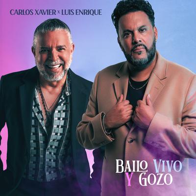 Bailo Vivo y Gozo's cover