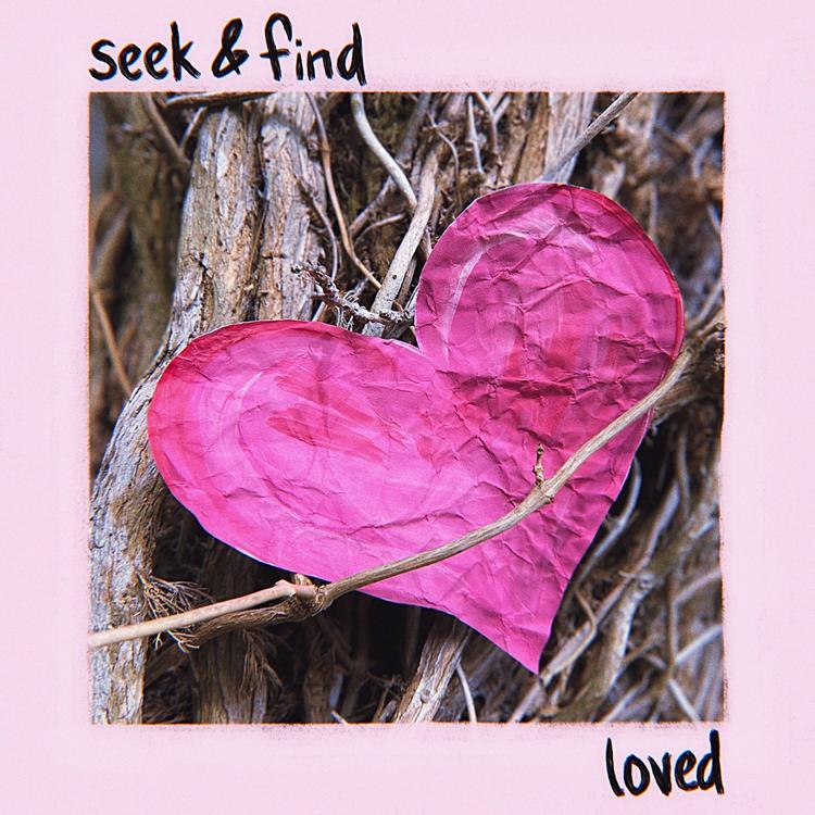 Seek & Find's avatar image