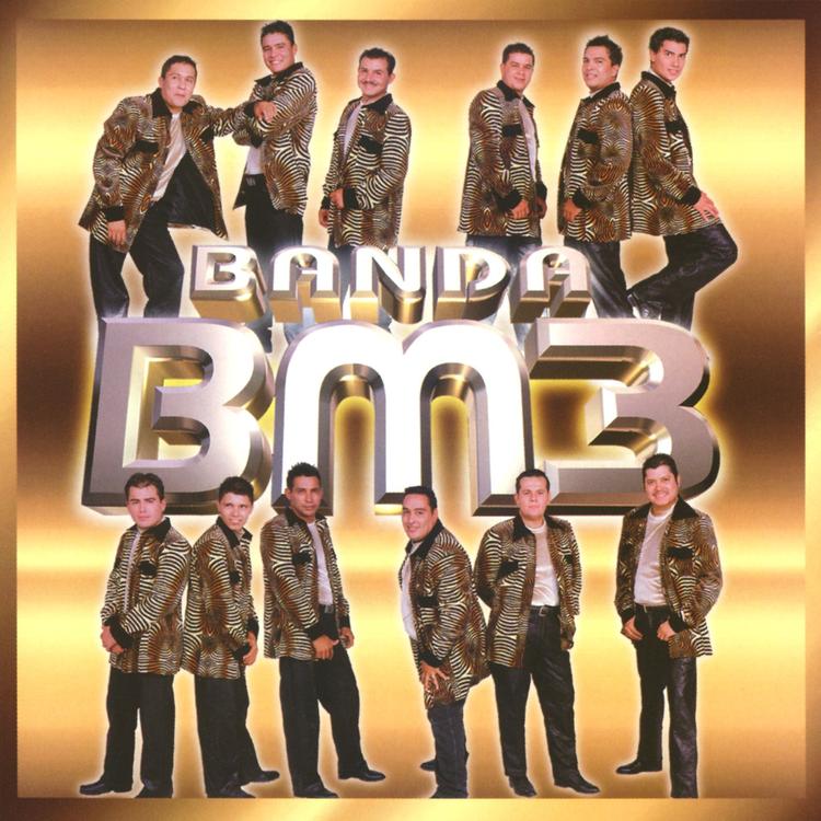 Banda BM3's avatar image