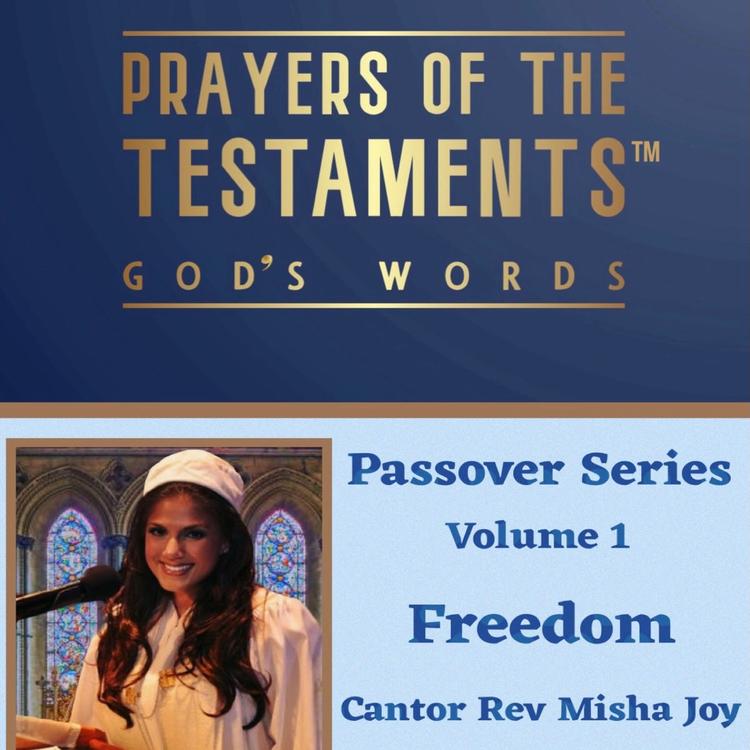 Cantor Rev Misha Joy's avatar image