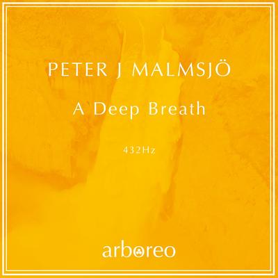 A Deep Breath By Peter J. Malmsjö's cover