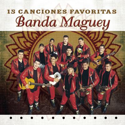 15 Canciones Favoritas's cover