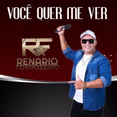 Você Quer Me Ver's cover